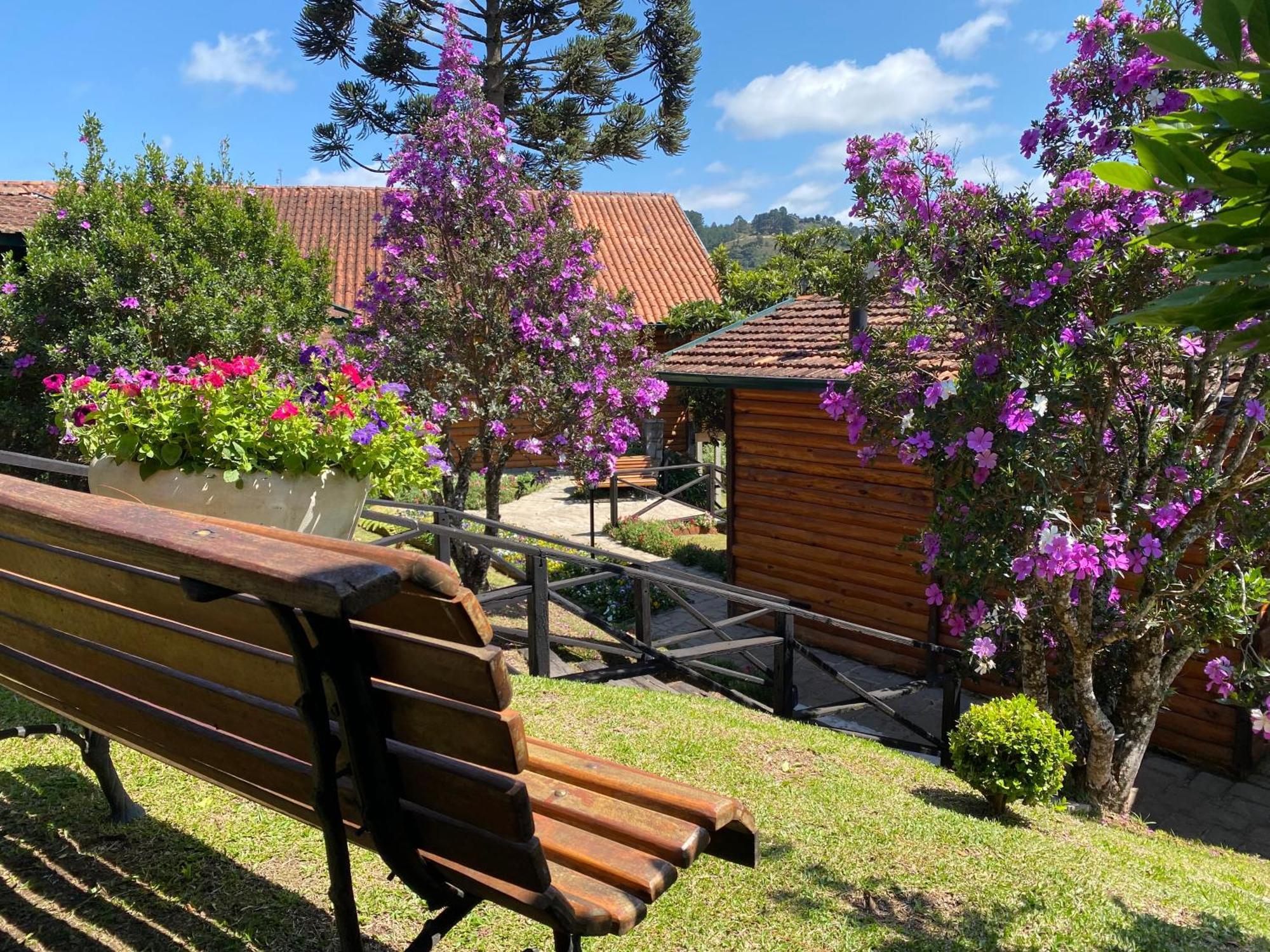 Hotel Savoy Excellence Campos do Jordao Bagian luar foto